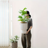 White Self-Watering Pot | Modern Wine-Glass Planter with Level Indicator