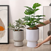 White Self-Watering Pot | Modern Wine-Glass Planter with Level Indicator