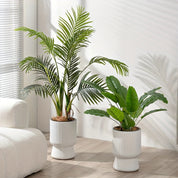 White Self-Watering Pot | Modern Wine-Glass Planter with Level Indicator