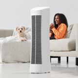 Silent Ionic Air Purifier | Fan for Home and Office