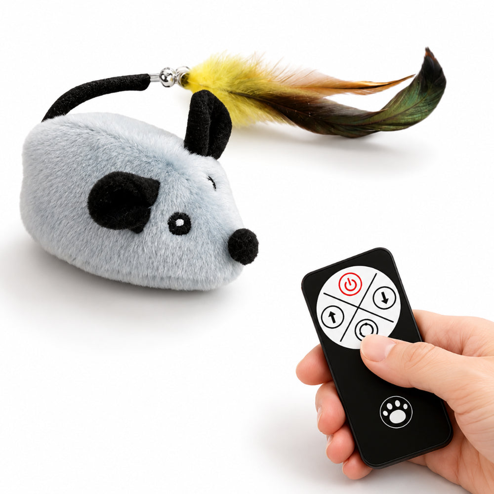 Remote Control Mouse for Cats | Interactive Toy