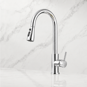 Extendable Kitchen Tap with Pivoting Flexible Spray