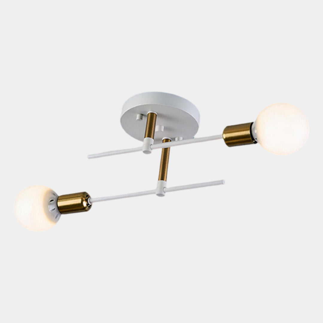 Modern 2-Light Ceiling Light | Black and Gold Lamp