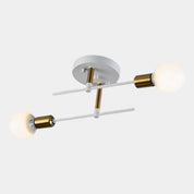 Modern 2-Light Ceiling Light | Black and Gold Lamp