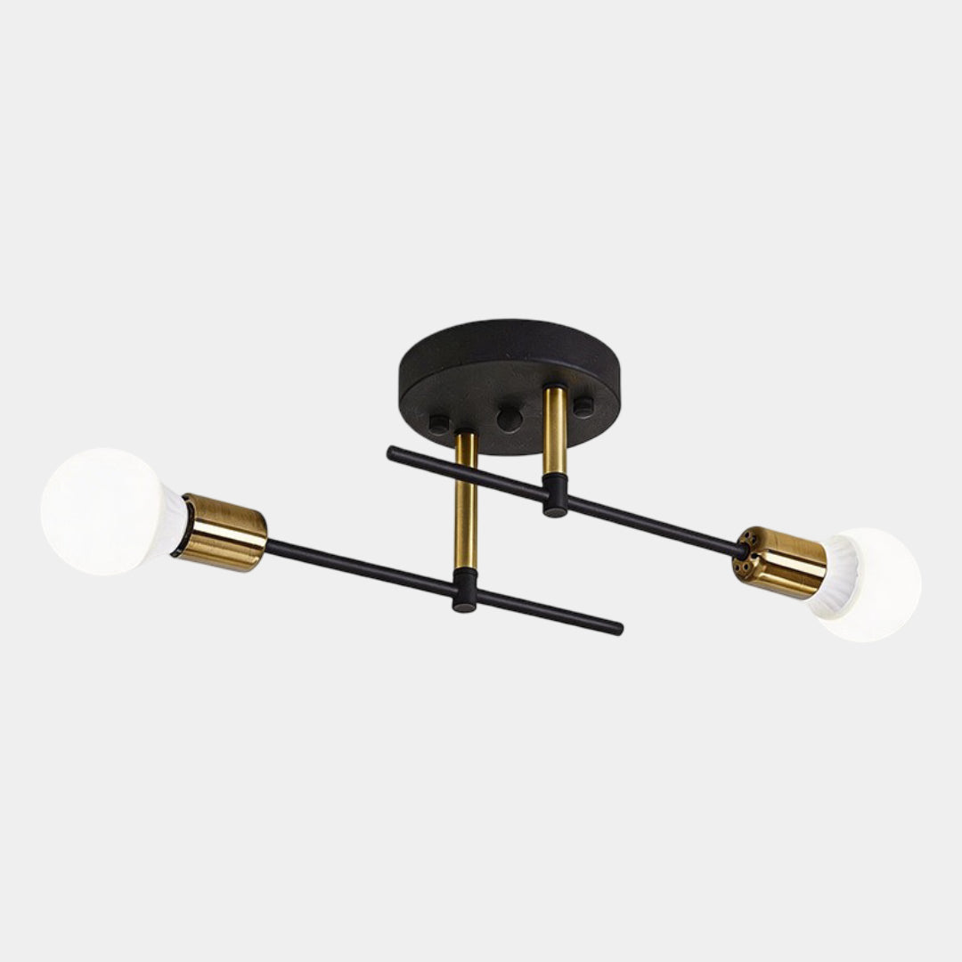 Modern 2-Light Ceiling Light | Black and Gold Lamp