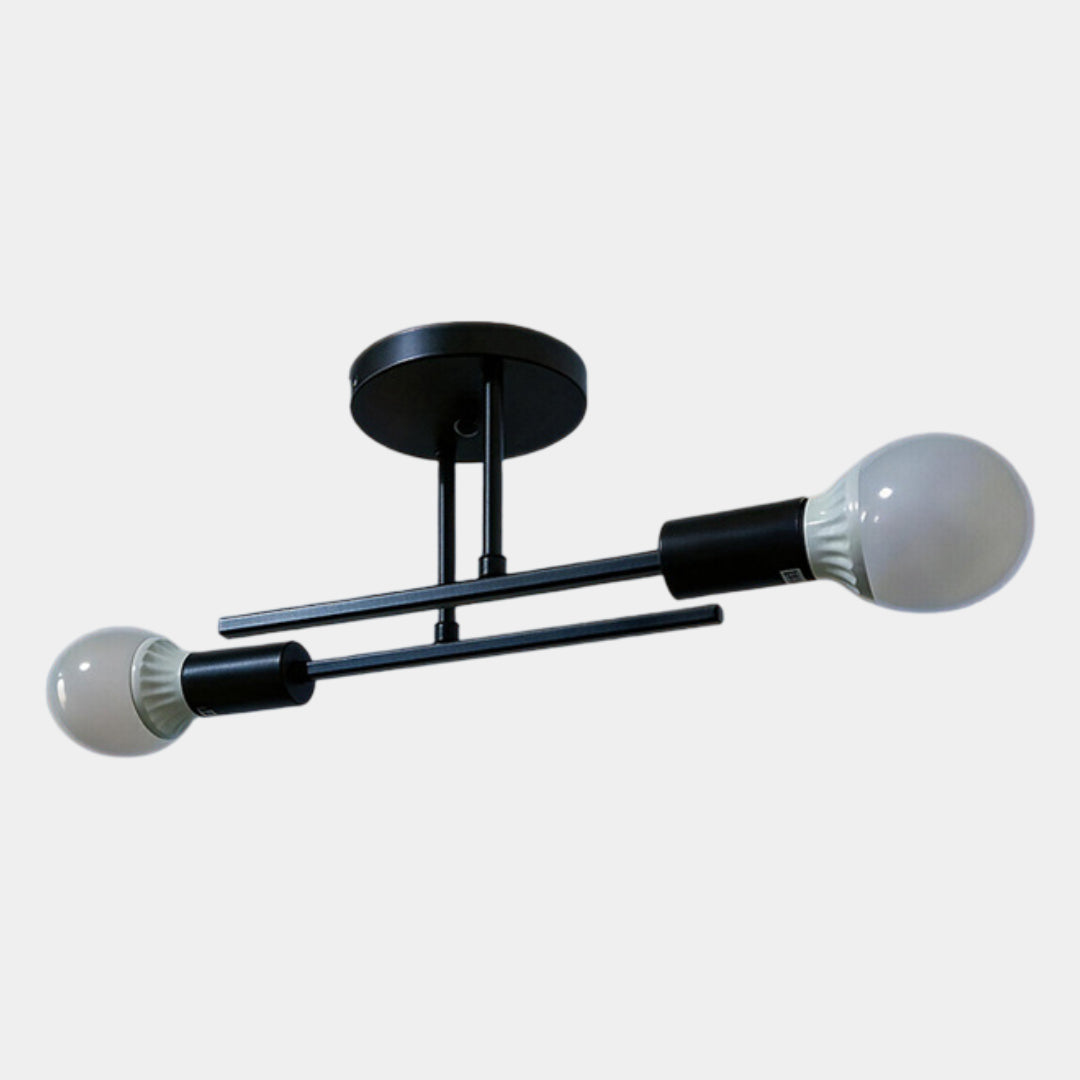 Modern 2-Light Ceiling Light | Black and Gold Lamp