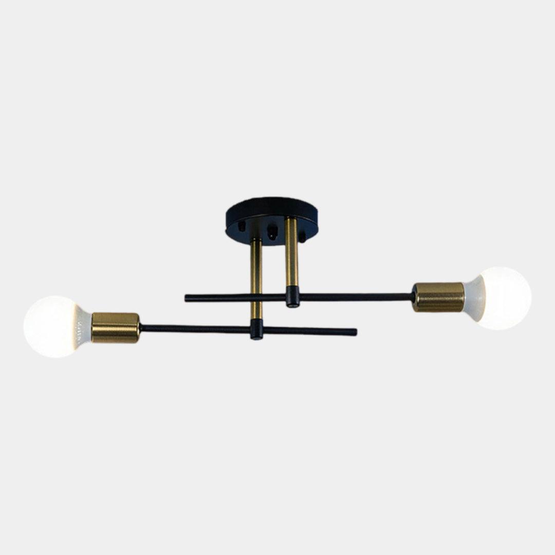 Modern 2-Light Ceiling Light | Black and Gold Lamp