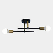 Modern 2-Light Ceiling Light | Black and Gold Lamp