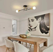 Modern 2-Light Ceiling Light | Black and Gold Lamp