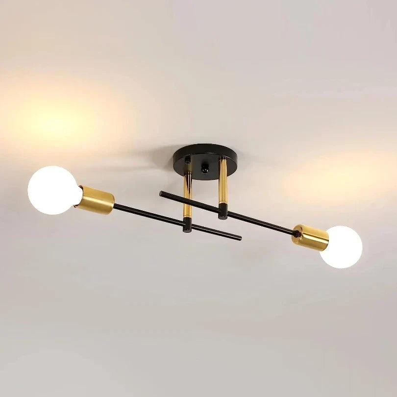 Modern 2-Light Ceiling Light | Black and Gold Lamp
