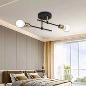 Modern 2-Light Ceiling Light | Black and Gold Lamp
