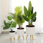 Modern Round Plant Pot with Wooden Feet | Indoor and Outdoor Decor