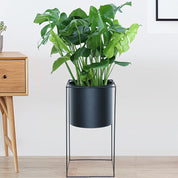 Metal Indoor Plant Stand | Modern Black Rectangular Planter