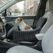 Dog Car Safety Seat | Travel Booster for Dogs
