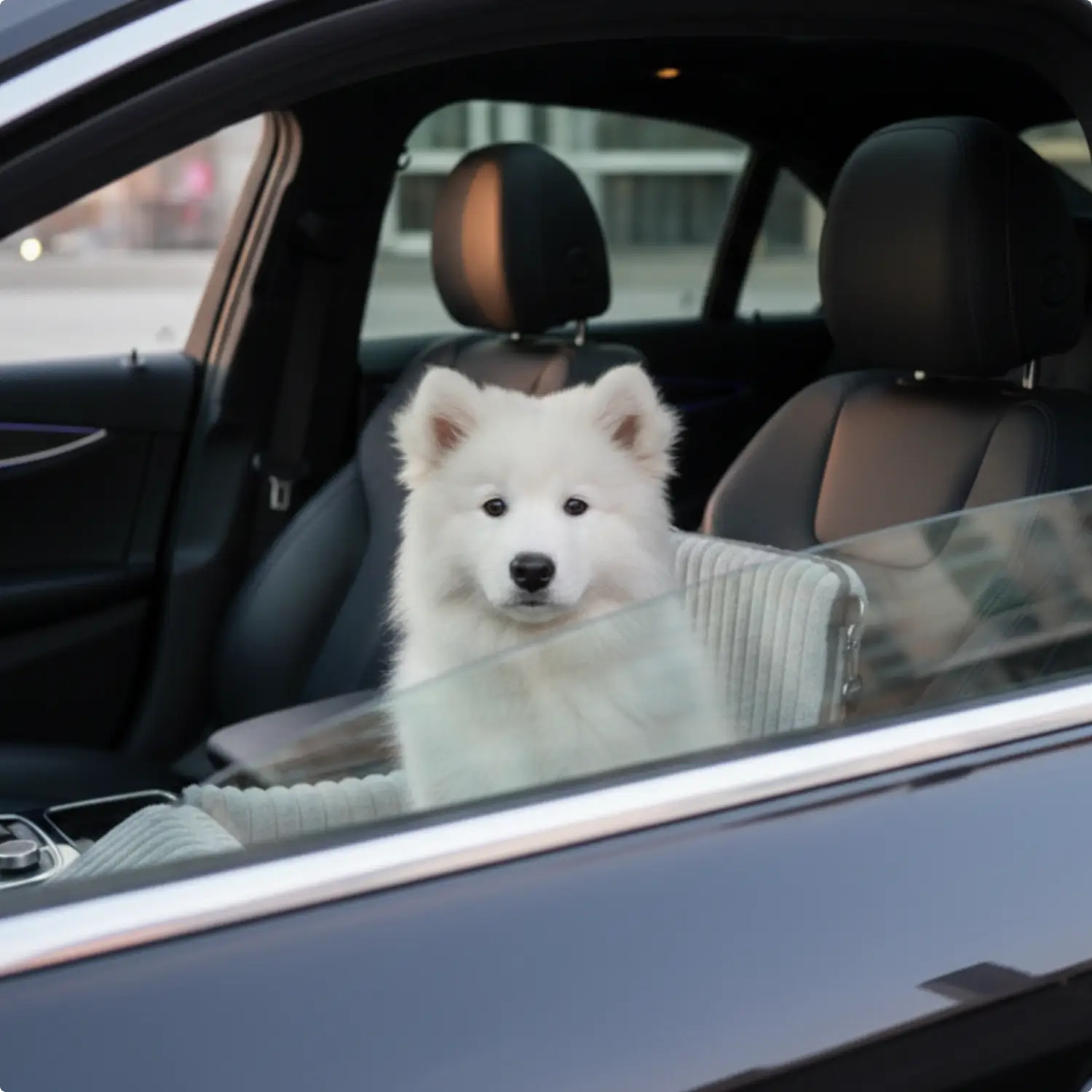 Dog Car Safety Seat | Travel Booster for Dogs