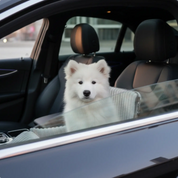 Dog Car Safety Seat | Travel Booster for Dogs