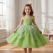 Girls' Fairy Princess Costume | Halloween