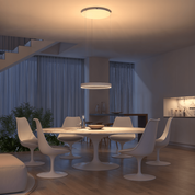 Hanging LED Ceiling Light | Modern Ceiling Lamp