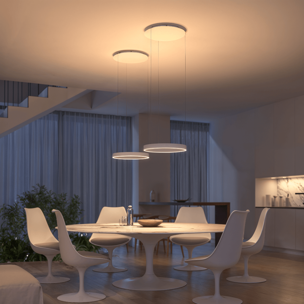Hanging LED Ceiling Light | Modern Ceiling Lamp