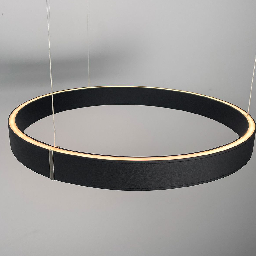 Hanging LED Ceiling Light | Modern Ceiling Lamp
