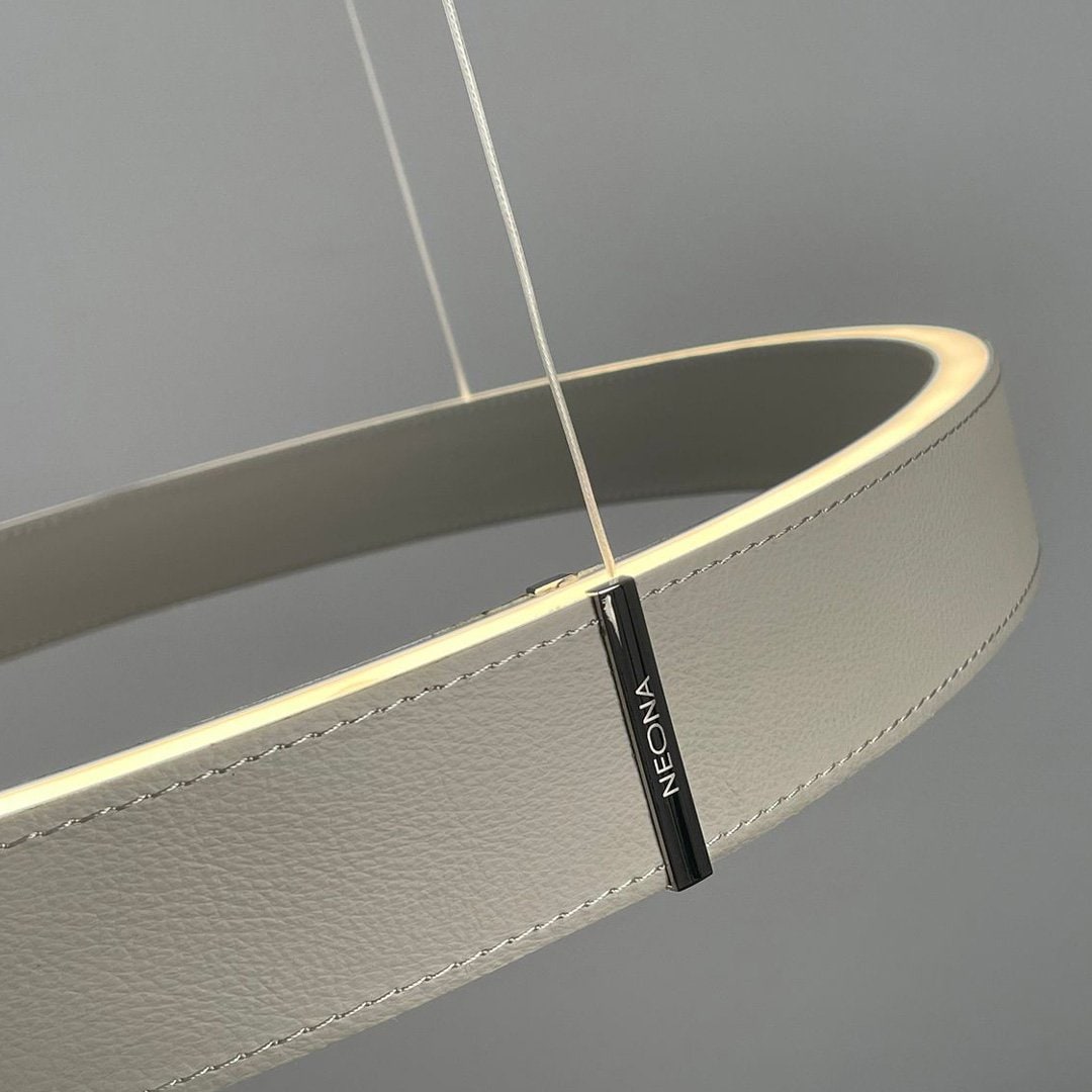 Hanging LED Ceiling Light | Modern Ceiling Lamp